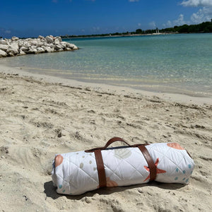Nappe - Étoiles de mer - Littoral