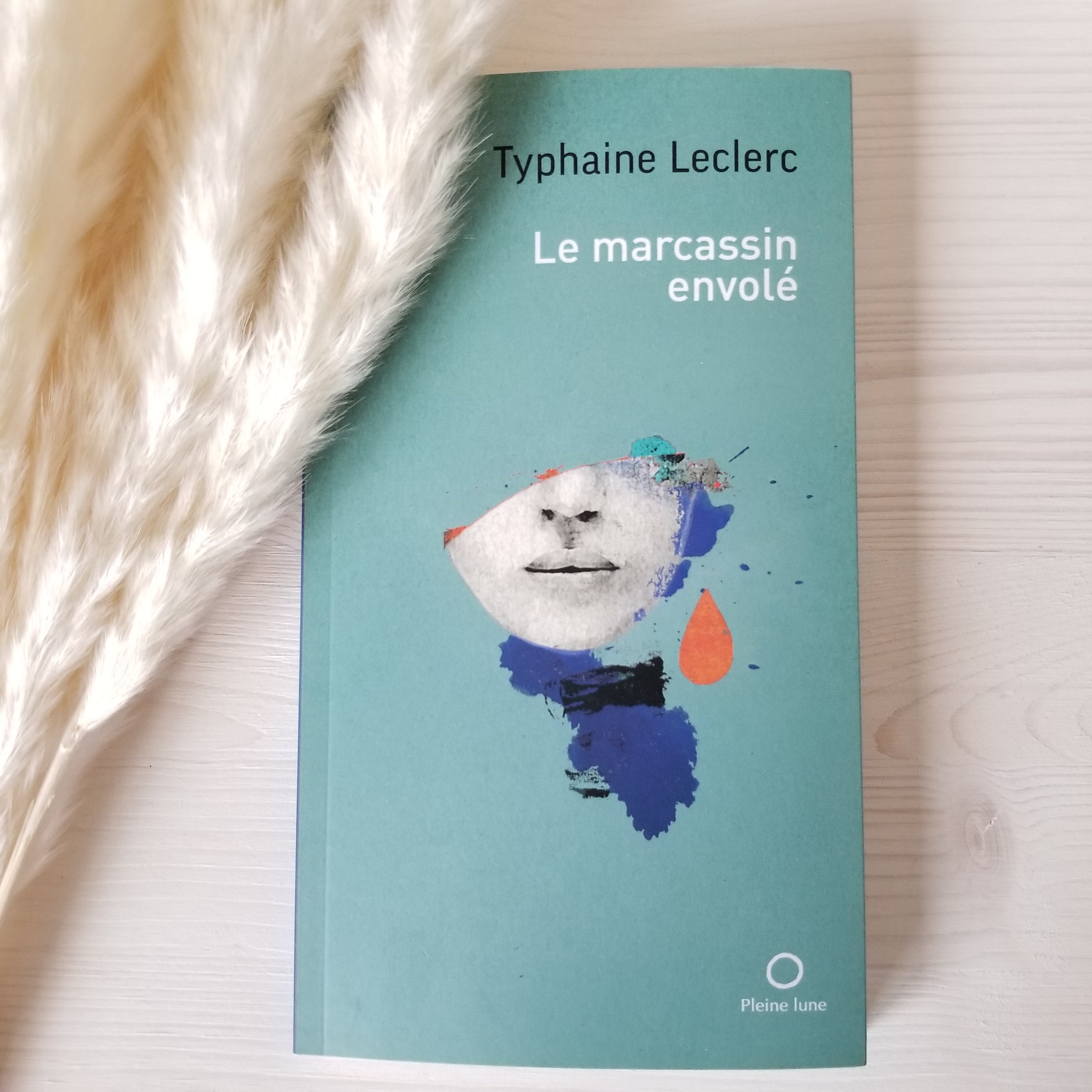 Le marcassin envolé - par Typhaine Leclerc